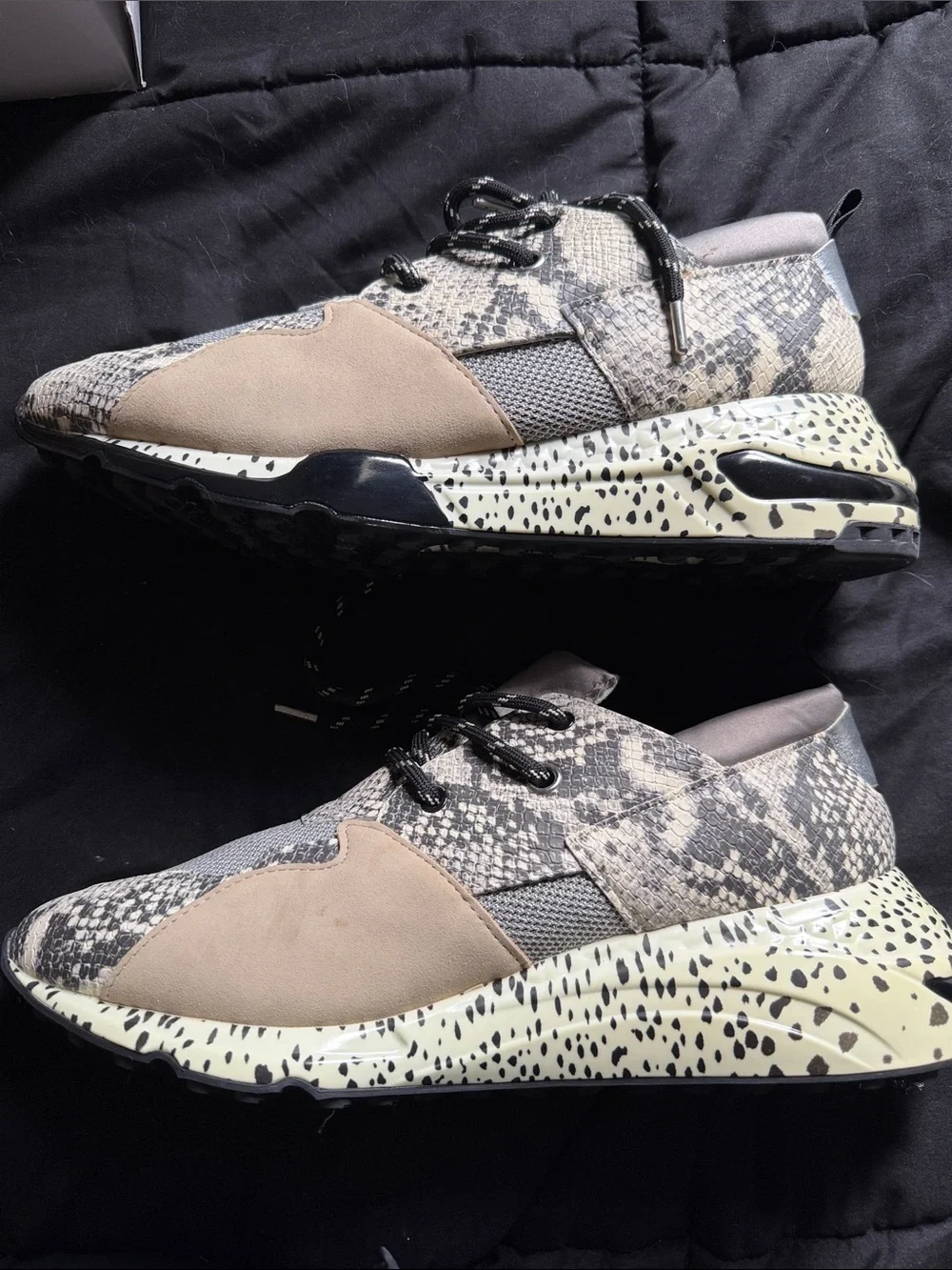 Steve Madden Sneakers